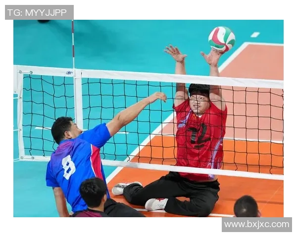 上海排球队排球意识排行榜荣登第二名引发热议